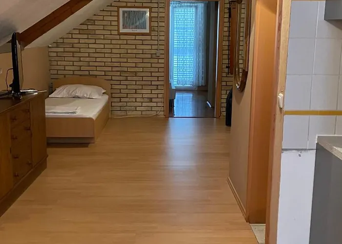 Slavonija 아파트 *